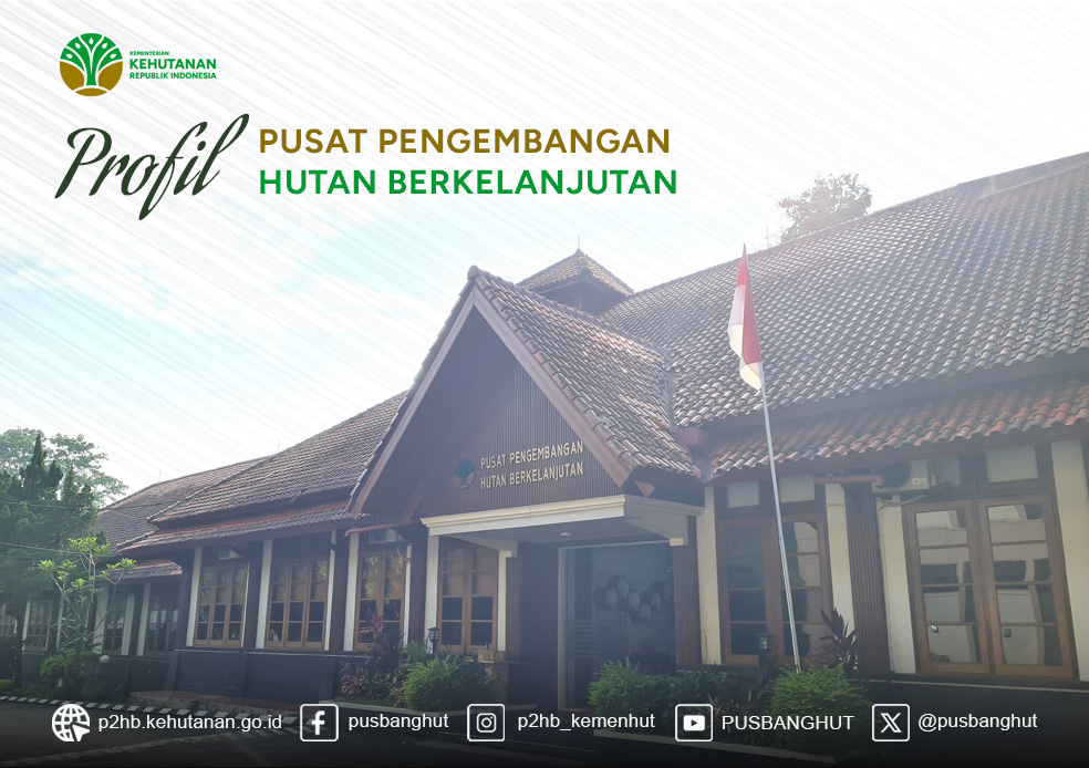Infografis Profil P2HB